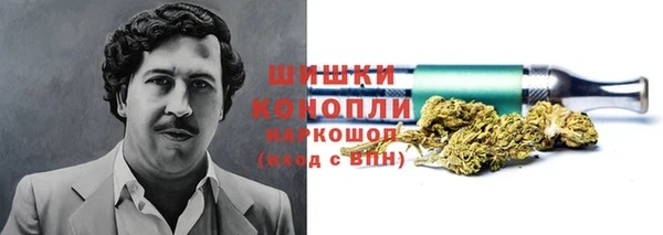 индика Белокуриха