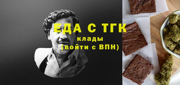 индика Белокуриха