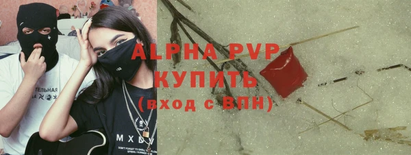 индика Белокуриха
